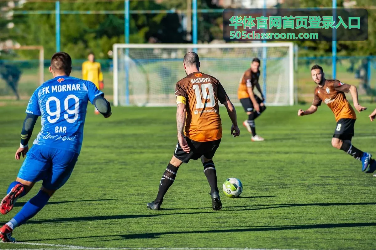 华体官网首页登录入口的长期未登录账号核对场景配图